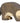 HOLZTIGER Waschbär