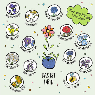 Die Stadtgärtner 5 bunte Blumenmurmeln im Pergaminbeutel - Frohe Ostern Möhrchen