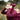 mamalila Allrounder fit Softshell-Tragejacke in Burgundy