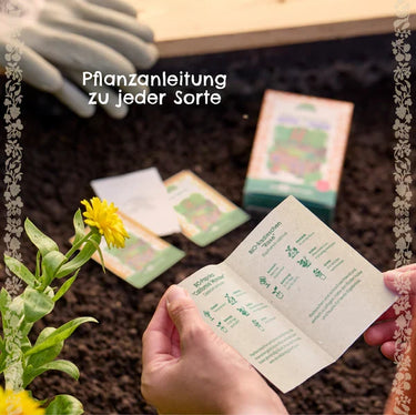 Die Stadtgärtner Bio-Saatgut Küchenkräuter - 10 verschiedene Kräuter